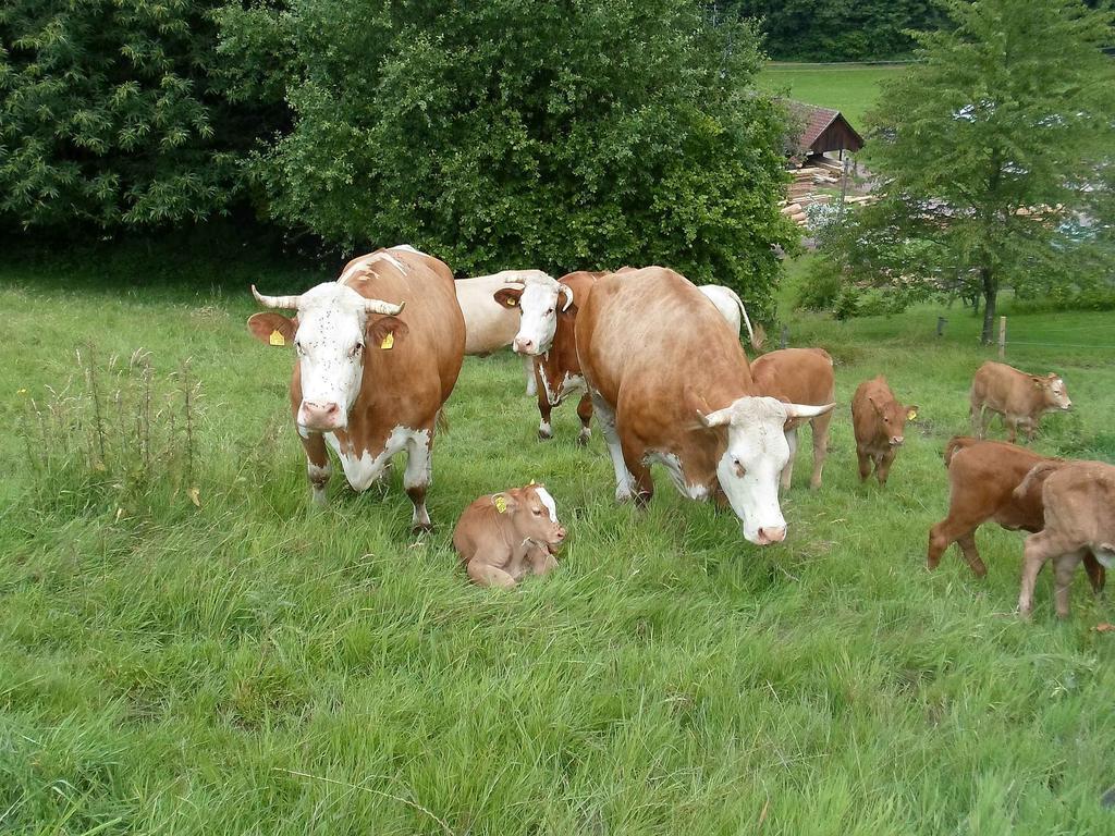 Zipperhof