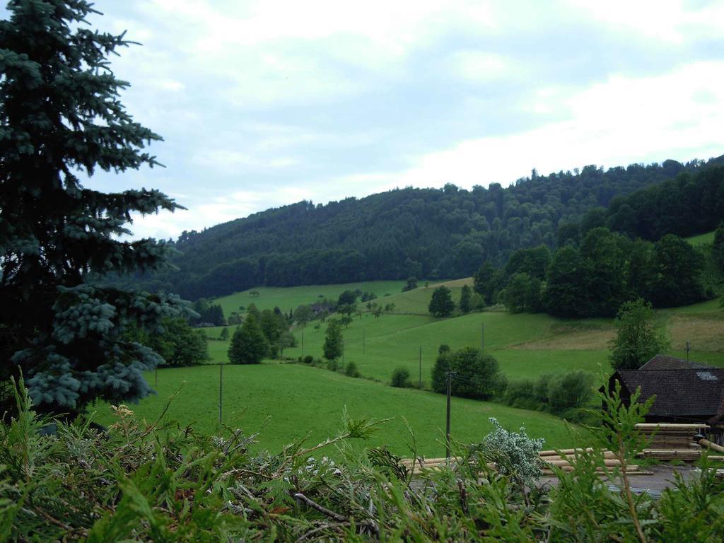 Zipperhof Apartment Lahr (Baden-Wurttemberg)