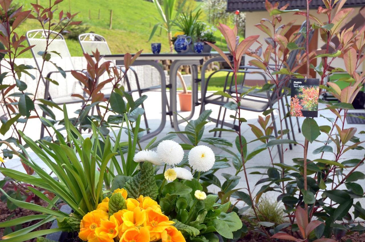 Apartment Zipperhof Lahr (Baden-Wurttemberg)